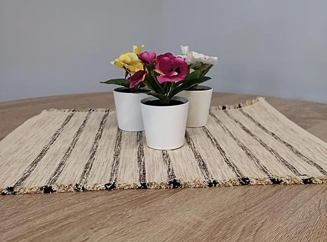 Stefani Πανσιόν Μέθανα